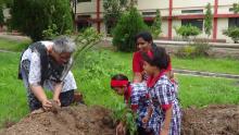 Plantation by the Students